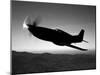 A Grumman F6F Hellcat Fighter Plane in Flight-Stocktrek Images-Mounted Photographic Print