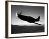 A Grumman F6F Hellcat Fighter Plane in Flight-Stocktrek Images-Framed Photographic Print