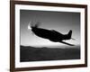 A Grumman F6F Hellcat Fighter Plane in Flight-Stocktrek Images-Framed Photographic Print