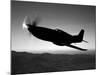 A Grumman F6F Hellcat Fighter Plane in Flight-Stocktrek Images-Mounted Photographic Print