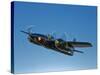 A Grumman F7F Tigercat in Flight-Stocktrek Images-Stretched Canvas