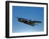 A Grumman F7F Tigercat in Flight-Stocktrek Images-Framed Photographic Print