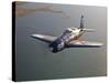 A Grumman F8F Bearcat in Flight-Stocktrek Images-Stretched Canvas