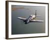 A Grumman F8F Bearcat in Flight-Stocktrek Images-Framed Photographic Print