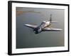 A Grumman F8F Bearcat in Flight-Stocktrek Images-Framed Photographic Print