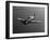 A Grumman F8F Bearcat in Flight-Stocktrek Images-Framed Photographic Print