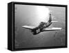 A Grumman F8F Bearcat in Flight-Stocktrek Images-Framed Stretched Canvas