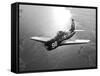 A Grumman F8F Bearcat in Flight-Stocktrek Images-Framed Stretched Canvas