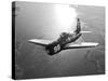 A Grumman F8F Bearcat in Flight-Stocktrek Images-Stretched Canvas