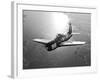 A Grumman F8F Bearcat in Flight-Stocktrek Images-Framed Photographic Print