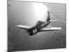 A Grumman F8F Bearcat in Flight-Stocktrek Images-Mounted Photographic Print