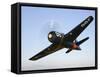 A Grumman F8F Bearcat in Flight-Stocktrek Images-Framed Stretched Canvas