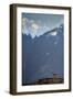 A guanaco (Lama guanaco) in front of the mountains of the Torres del Paine range, Patagonia, Chile,-Alex Robinson-Framed Photographic Print