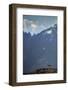 A guanaco (Lama guanaco) in front of the mountains of the Torres del Paine range, Patagonia, Chile,-Alex Robinson-Framed Photographic Print