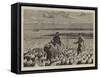 A Guano Bed-Joseph Nash-Framed Stretched Canvas