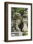 A Guardian Stone Lion Traditional Stone Lantern at the Entrance to Kasuga-Taisha Shrine-Paul Dymond-Framed Photographic Print