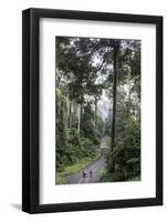 A Guide Accompanies Tourists-James Morgan-Framed Photographic Print