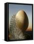 A Guinea Fowl Egg and Feather-Manfred Seelow-Framed Stretched Canvas