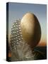 A Guinea Fowl Egg and Feather-Manfred Seelow-Stretched Canvas