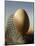 A Guinea Fowl Egg and Feather-Manfred Seelow-Mounted Photographic Print