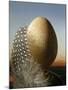 A Guinea Fowl Egg and Feather-Manfred Seelow-Mounted Photographic Print