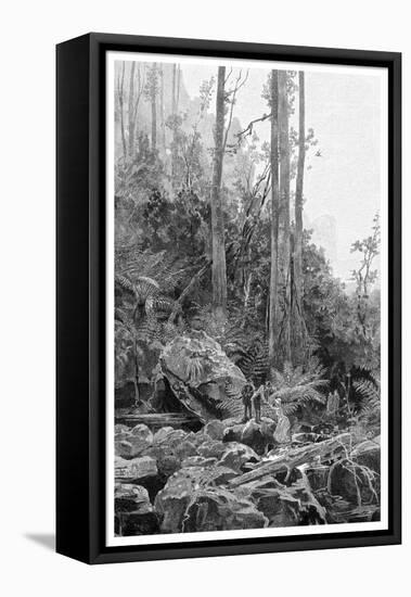 A Gully in the Blue Mountains, Australia, 1886-Frederic B Schell-Framed Stretched Canvas