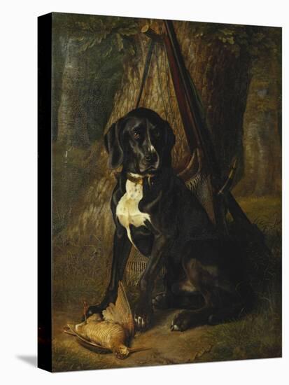 A Gun Dog with a Woodcock, 1842-William Hammer-Stretched Canvas