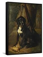 A Gun Dog with a Woodcock, 1842-William Hammer-Framed Stretched Canvas