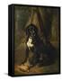 A Gun Dog with a Woodcock, 1842-William Hammer-Framed Stretched Canvas