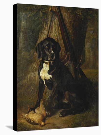 A Gun Dog with a Woodcock, 1842-William Hammer-Stretched Canvas