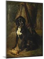 A Gun Dog with a Woodcock, 1842-William Hammer-Mounted Giclee Print