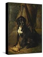 A Gun Dog with a Woodcock-William Hammer-Stretched Canvas