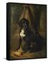 A Gun Dog with a Woodcock-William Hammer-Framed Stretched Canvas