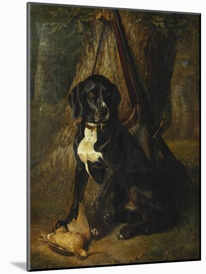 A Gun Dog with a Woodcock-William Hammer-Mounted Giclee Print