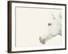 A Gusto-Shana Rae-Framed Giclee Print