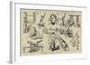 A Gymnastic Display by Ladies-null-Framed Giclee Print