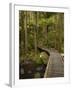 A.H. Reed Memorial Kauri Park, Whangarei, Northland, North Island, New Zealand-David Wall-Framed Photographic Print