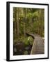 A.H. Reed Memorial Kauri Park, Whangarei, Northland, North Island, New Zealand-David Wall-Framed Photographic Print
