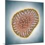 A(H1N1) (Swine flu) virus illustration-Matthias Kulka-Mounted Giclee Print