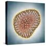 A(H1N1) (Swine flu) virus illustration-Matthias Kulka-Stretched Canvas