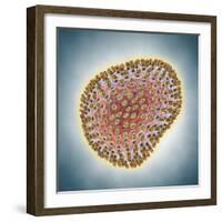 A(H1N1) (Swine flu) virus illustration-Matthias Kulka-Framed Giclee Print