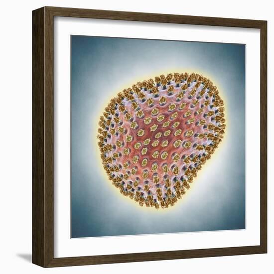 A(H1N1) (Swine flu) virus illustration-Matthias Kulka-Framed Giclee Print