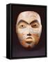 A Haida Portrait Mask-null-Framed Stretched Canvas