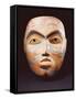 A Haida Portrait Mask-null-Framed Stretched Canvas