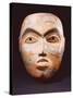 A Haida Portrait Mask-null-Stretched Canvas