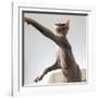 A hairless sphinx cat takes a swing at a toy-James White-Framed Photographic Print