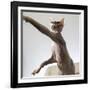 A hairless sphinx cat takes a swing at a toy-James White-Framed Photographic Print