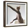 A hairless sphinx cat takes a swing at a toy-James White-Framed Photographic Print