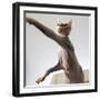 A hairless sphinx cat takes a swing at a toy-James White-Framed Photographic Print