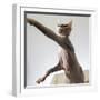 A hairless sphinx cat takes a swing at a toy-James White-Framed Photographic Print